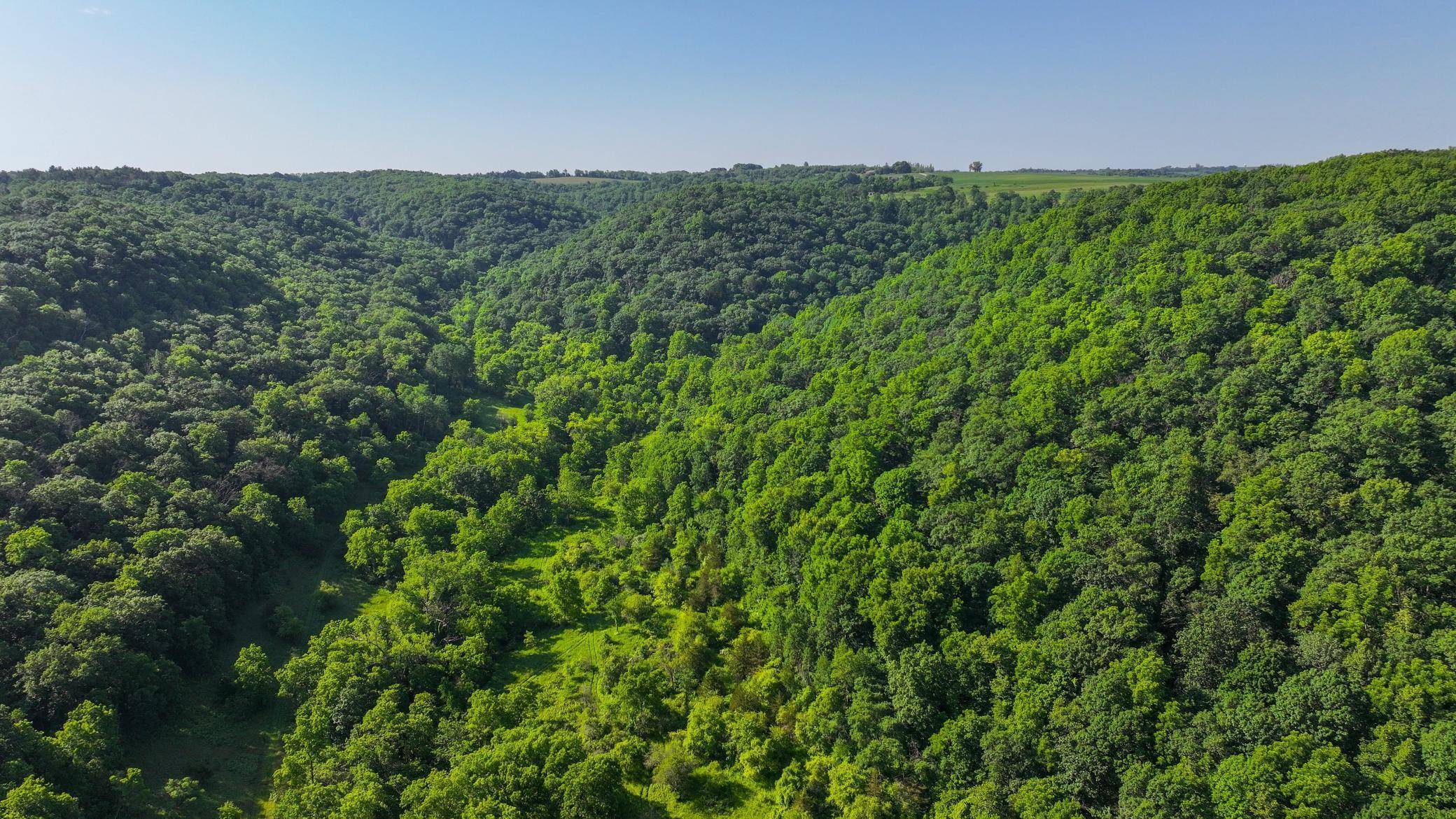 Houston, MN 55943,xxx East Twin Ridge RD