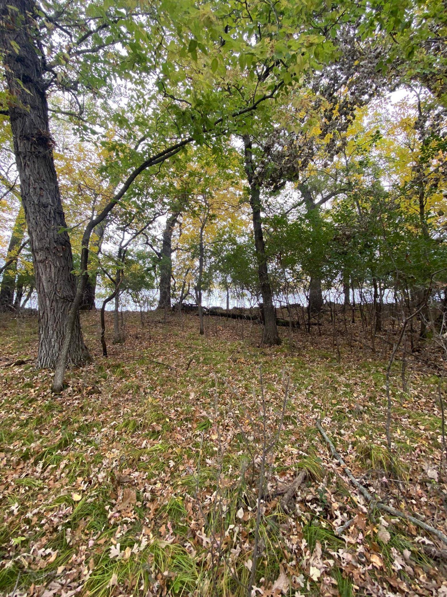 Big Stone City, SD 57216,Lot 40 Lakota Island