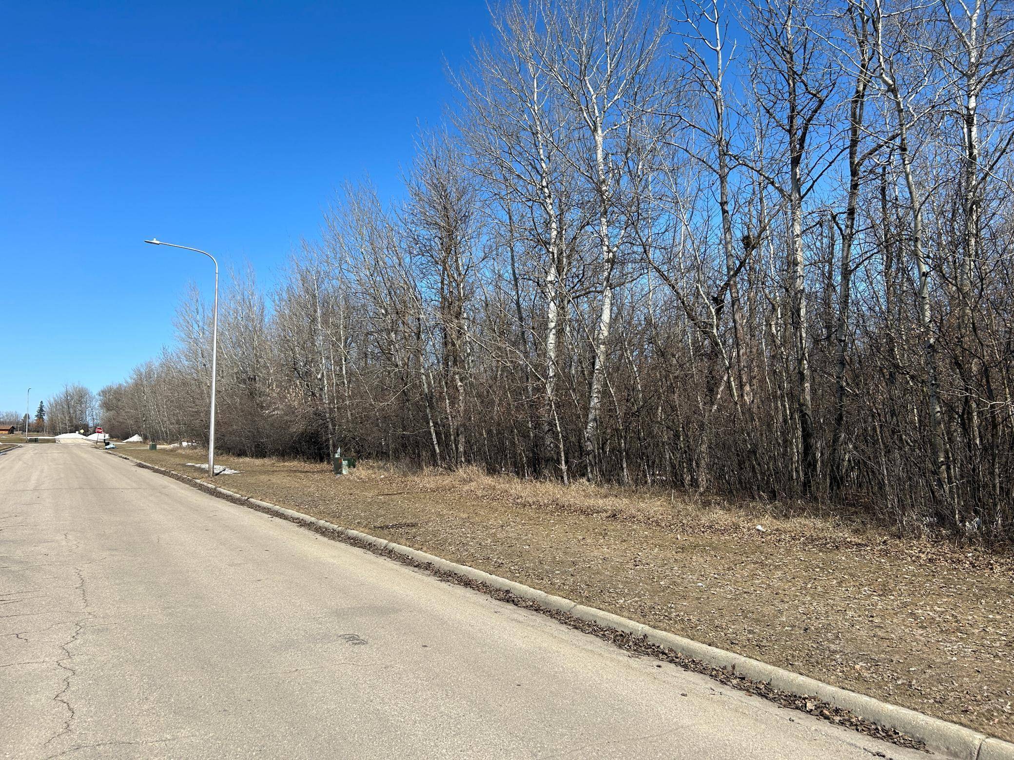 Warroad, MN 56763,TBD Wabasha AVE NE