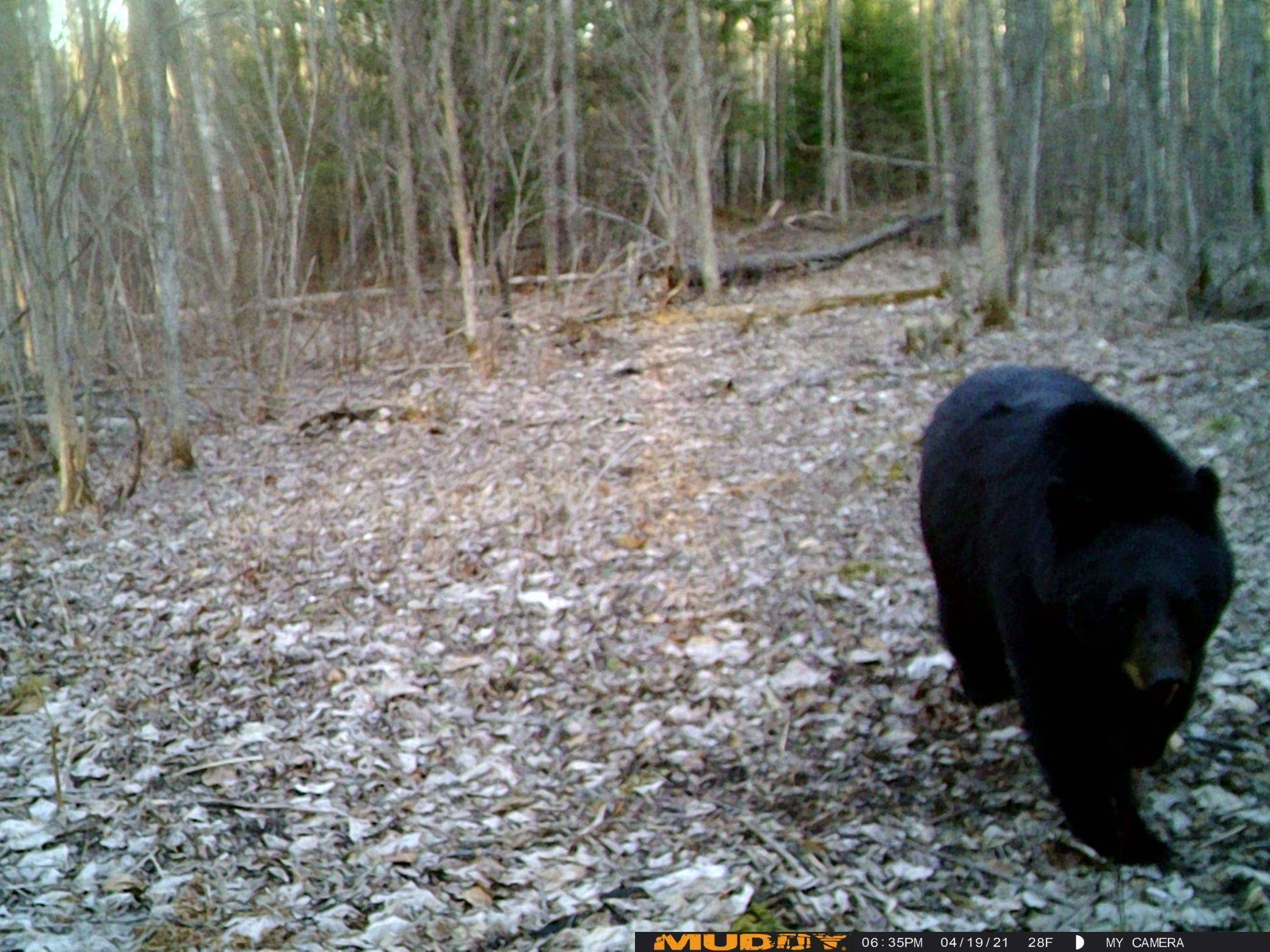 Federal Dam, MN 56626,13598 County 8 NE