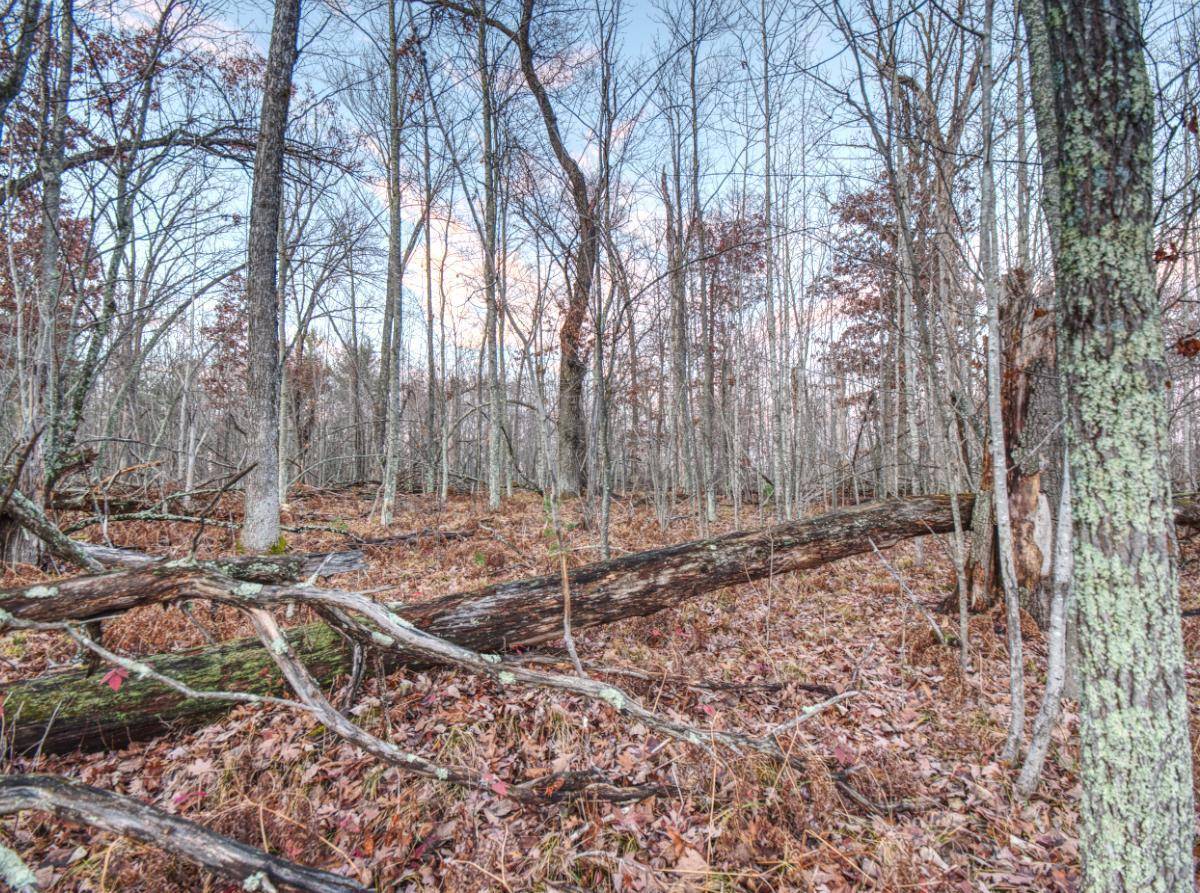 Jackson Twp, WI 54830,XXXX Aspen Hill CT