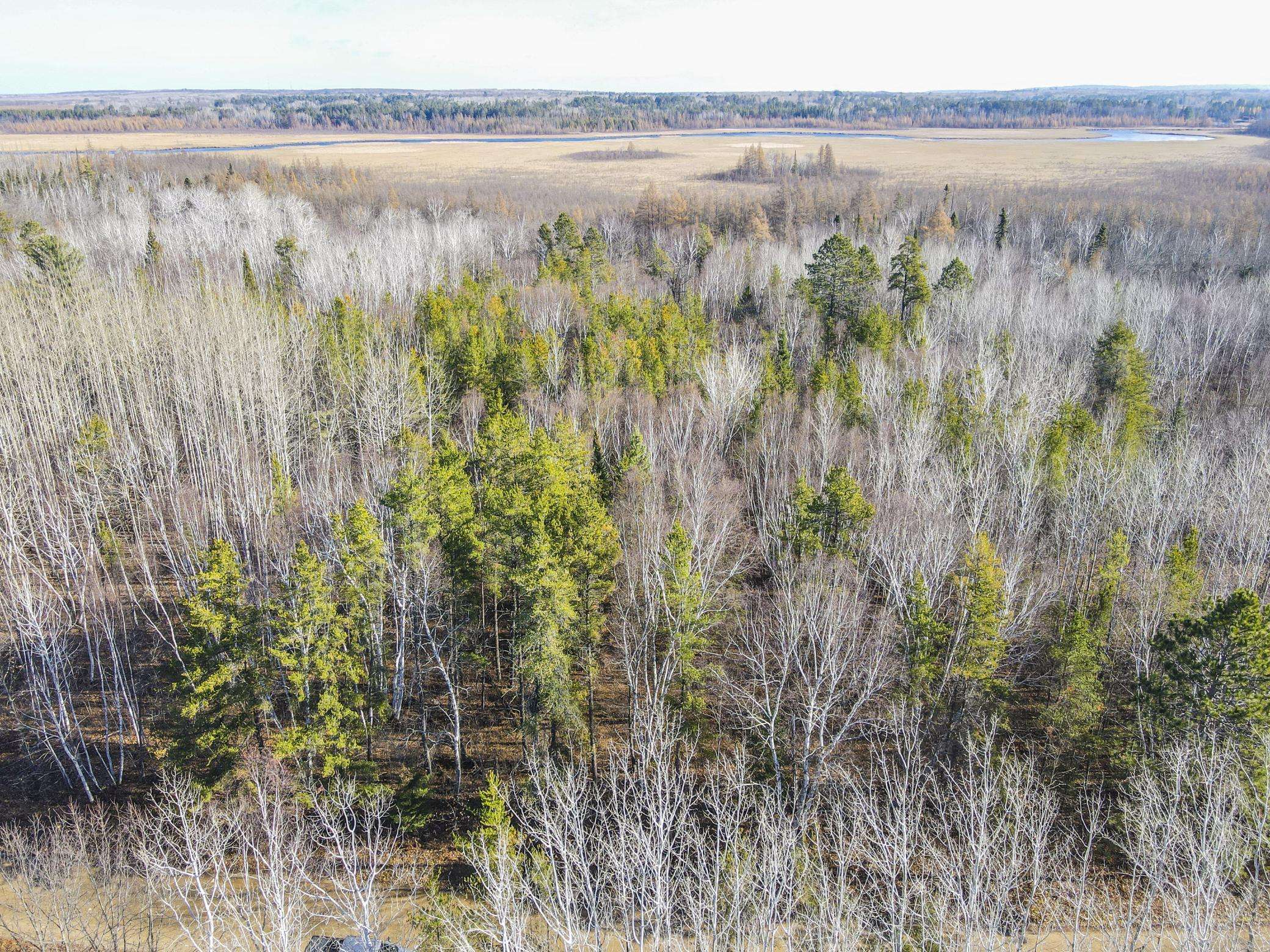 Laporte, MN 56461,TBD Musky DR