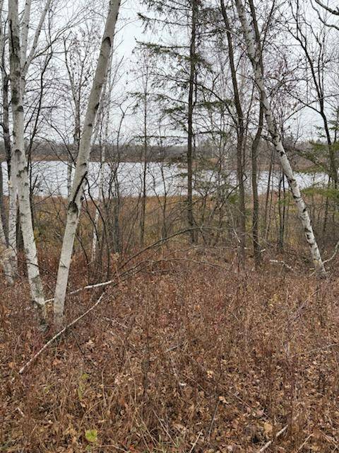 Palisade, MN 56469,28002 Fox LN