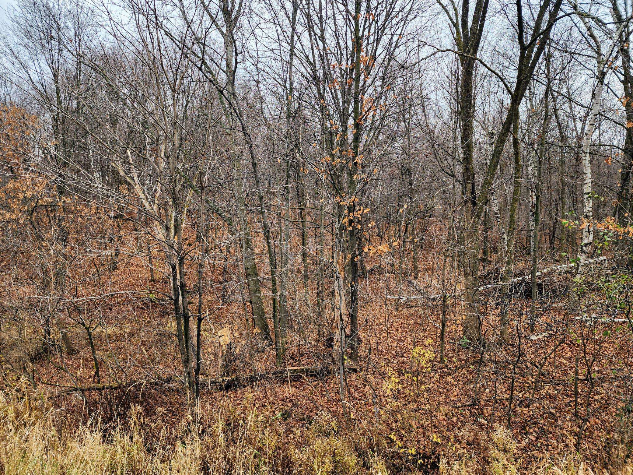 Clinton Twp, WI 54805,00 Highway 8