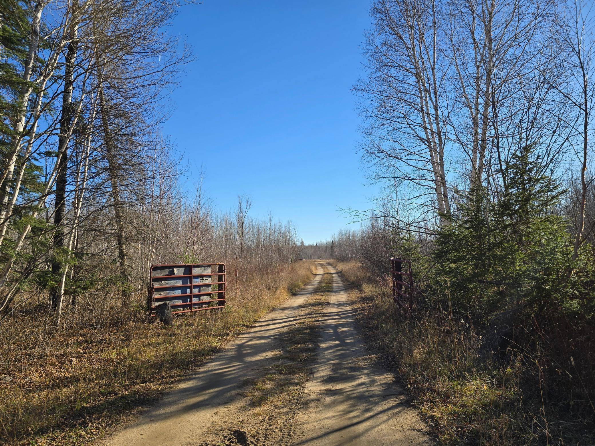 International Falls, MN 56649,TBD 40 Acres County Rd 119