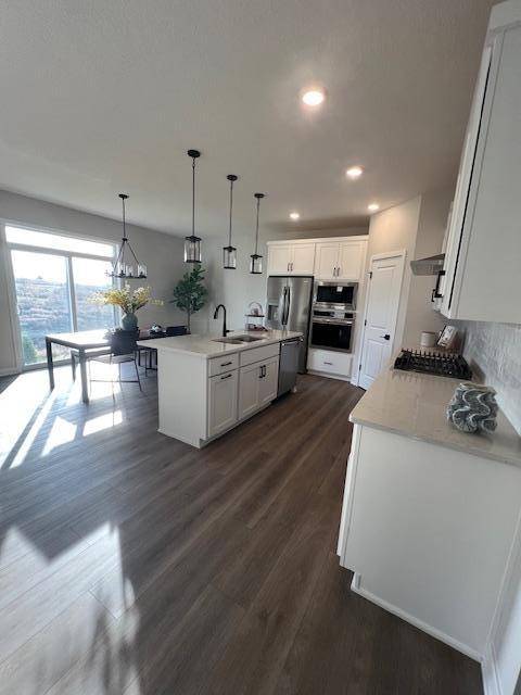 Farmington, MN 55024,19461 Everglade PATH