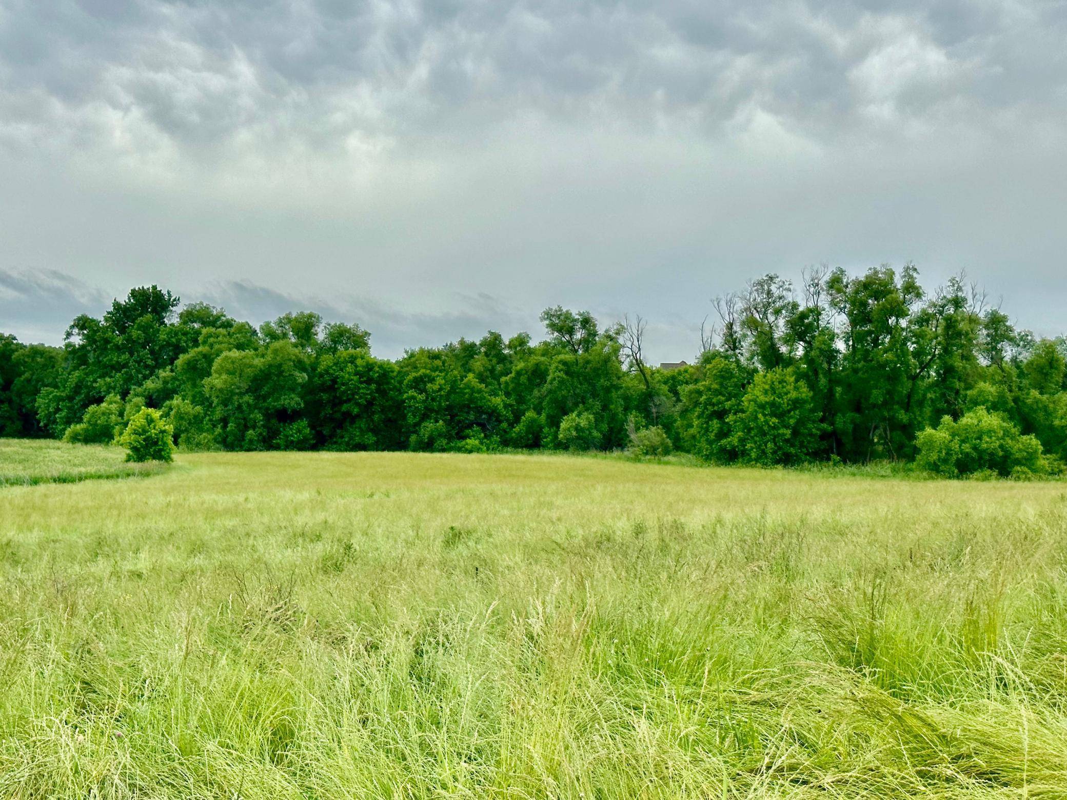 Medina, MN 55340,2505 Pioneer Trail