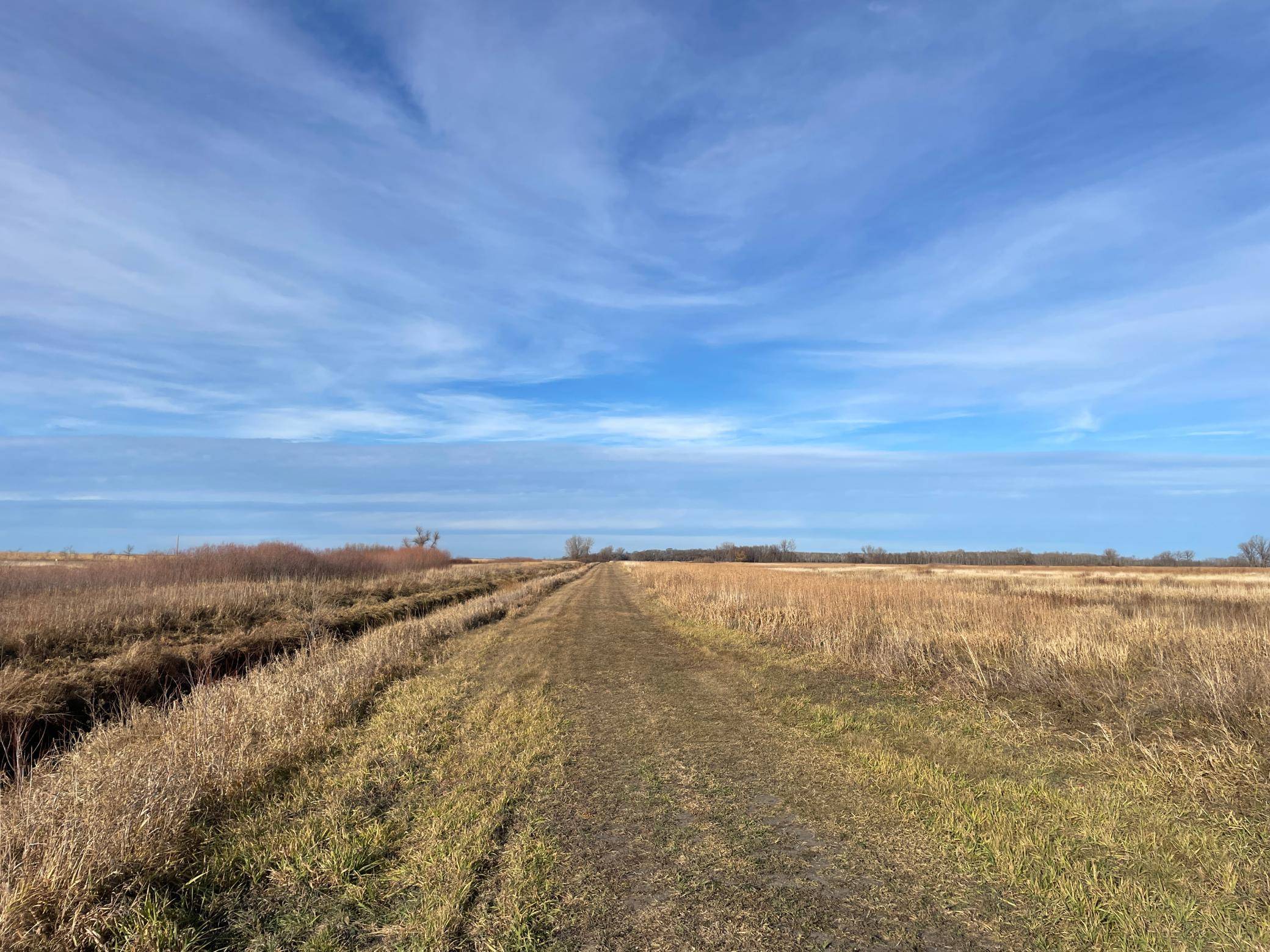 Bray Twp, MN 56701,TBD HWY 10