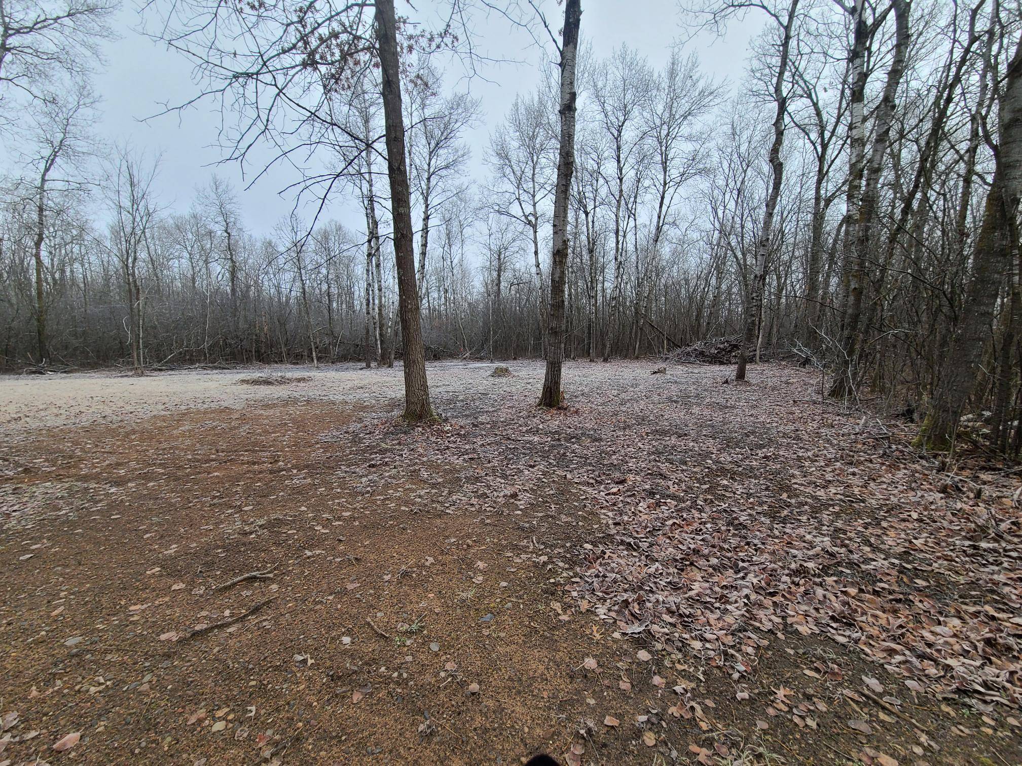 Pine City, MN 55063,15057 Canyon WAY