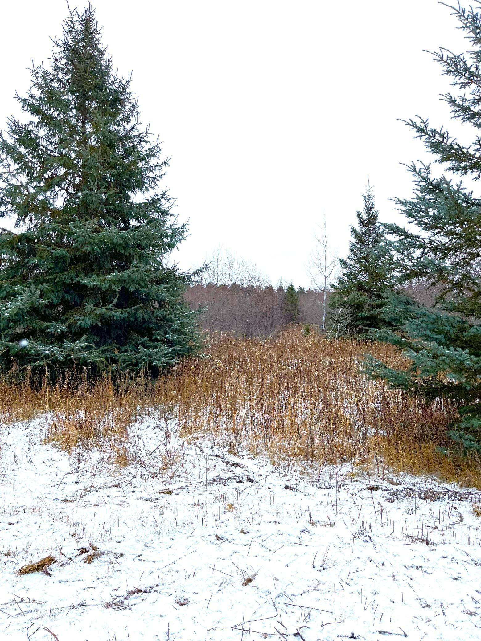 Warroad, MN 56763,Lot 2 - TBD 330th ST