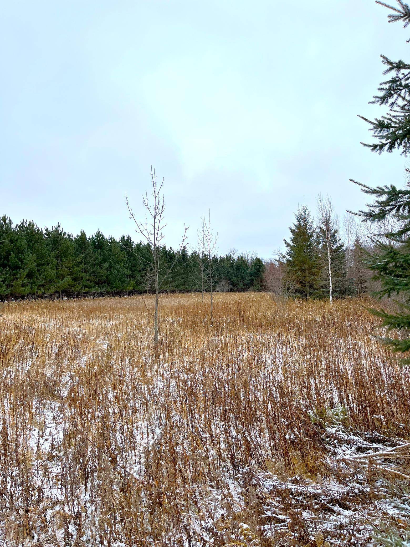 Warroad, MN 56763,Lot 2 - TBD 330th ST