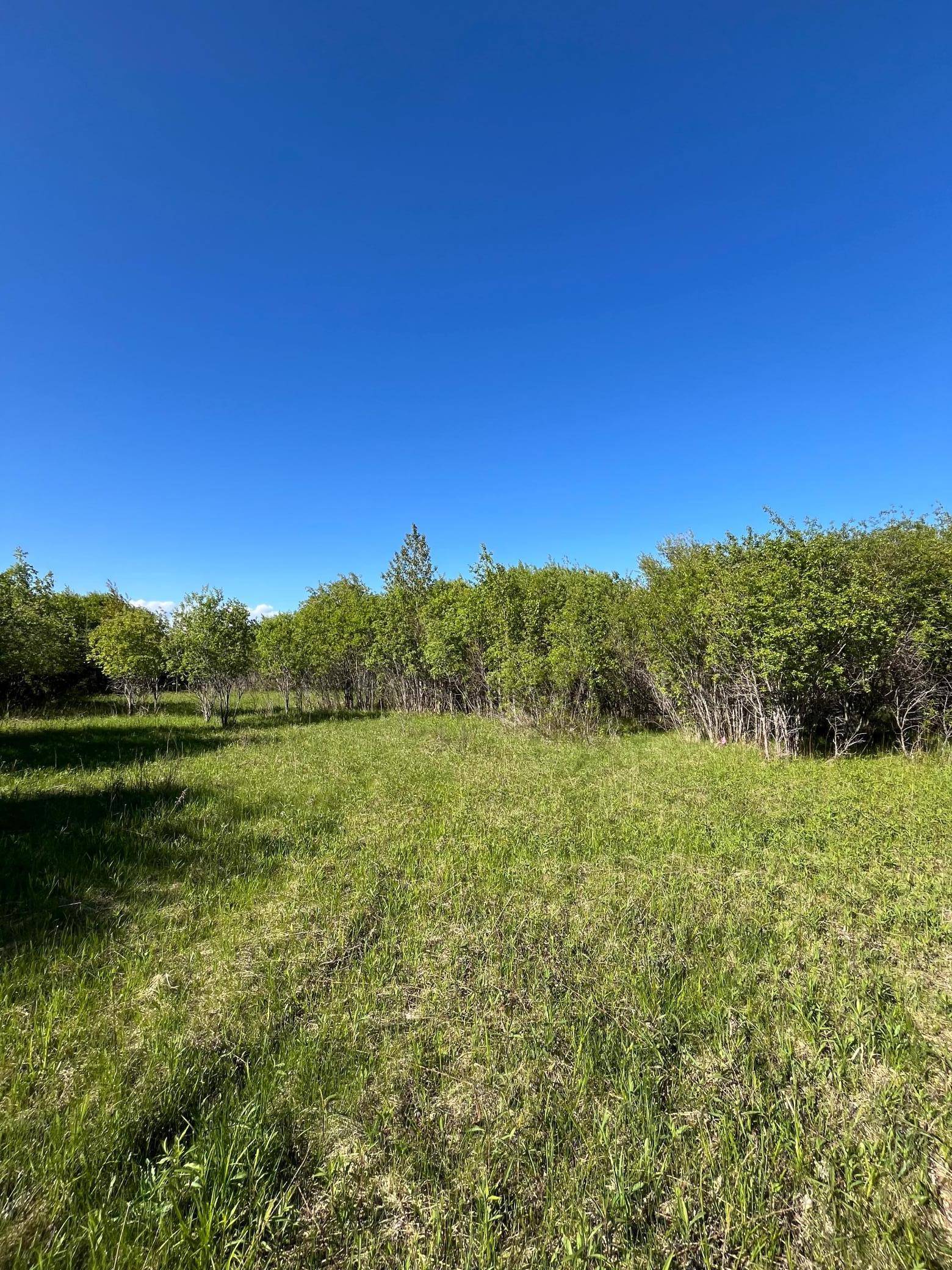 Warroad, MN 56763,Lot 3 - TBD 330th ST