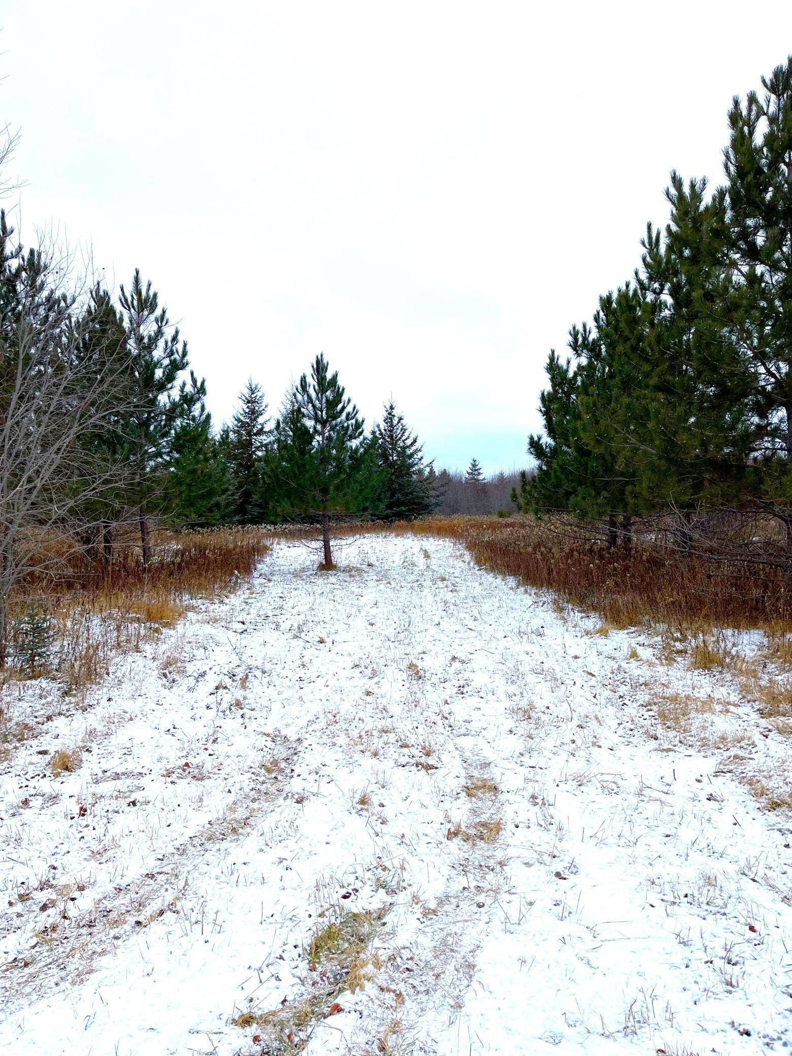 Warroad, MN 56763,Lot 3 - TBD 330th ST