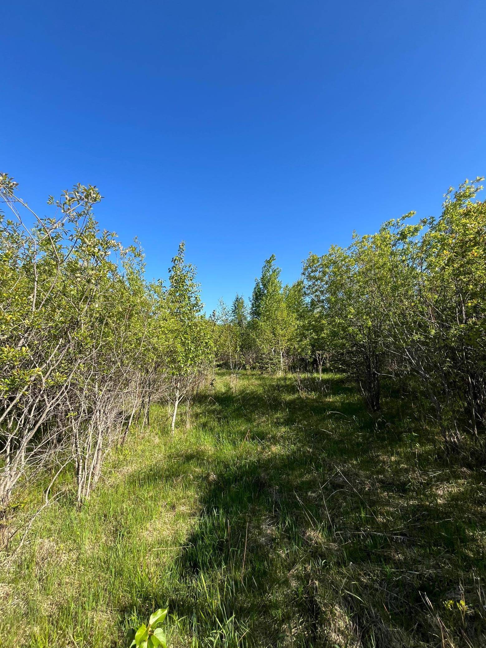 Warroad, MN 56763,Lot 3 - TBD 330th ST