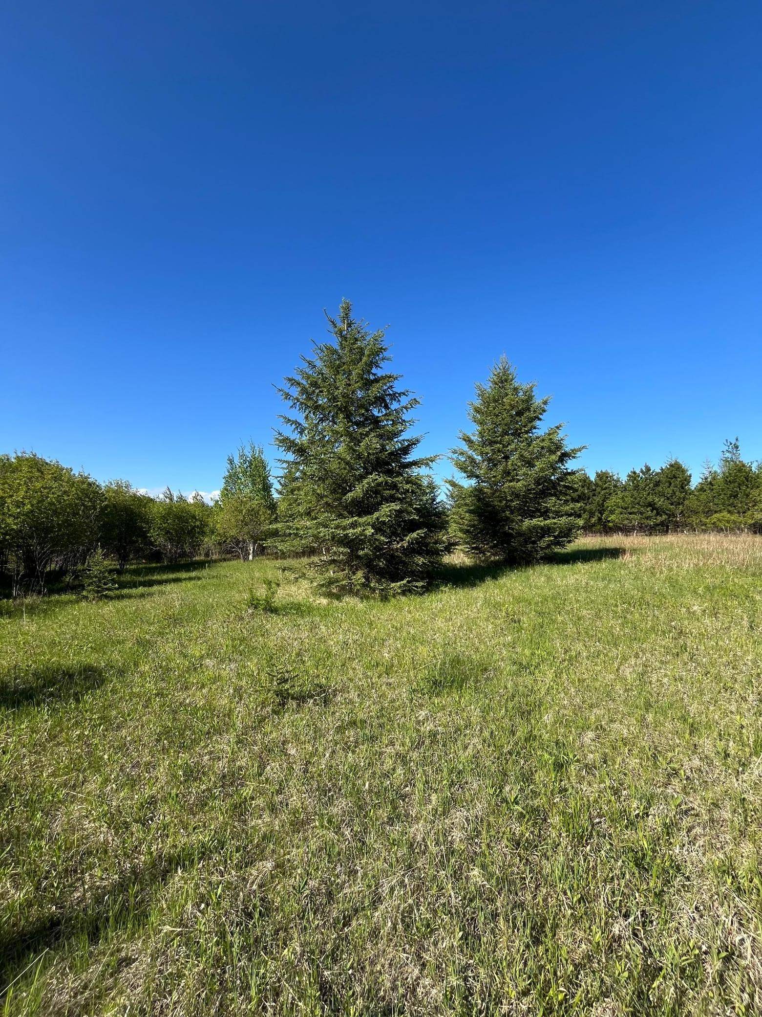 Warroad, MN 56763,Lot 3 - TBD 330th ST