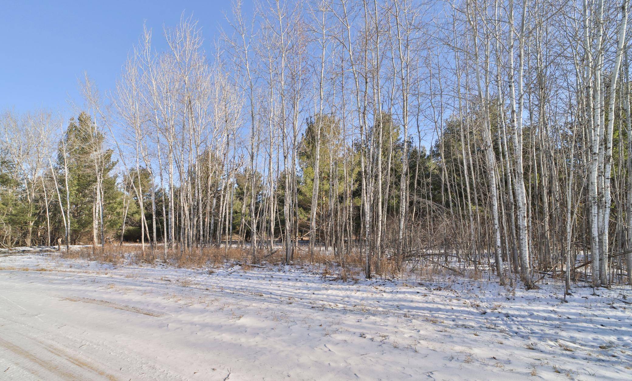 Browerville, MN 56438,TBD Portage Circle