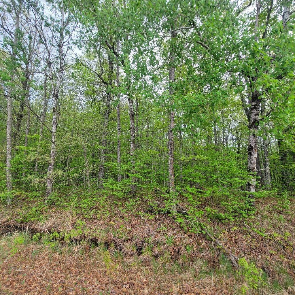 Spooner, WI 54801,Lot 10 County Road A