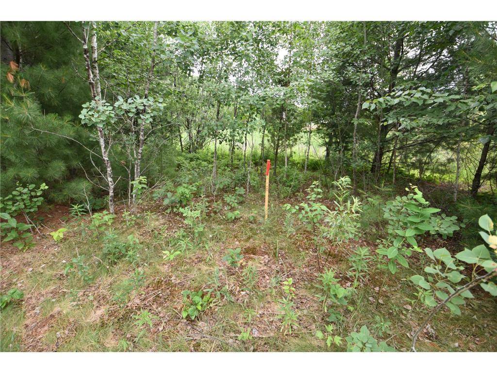 Lino Lakes, MN 55014,580 WOODDUCK TRAIL