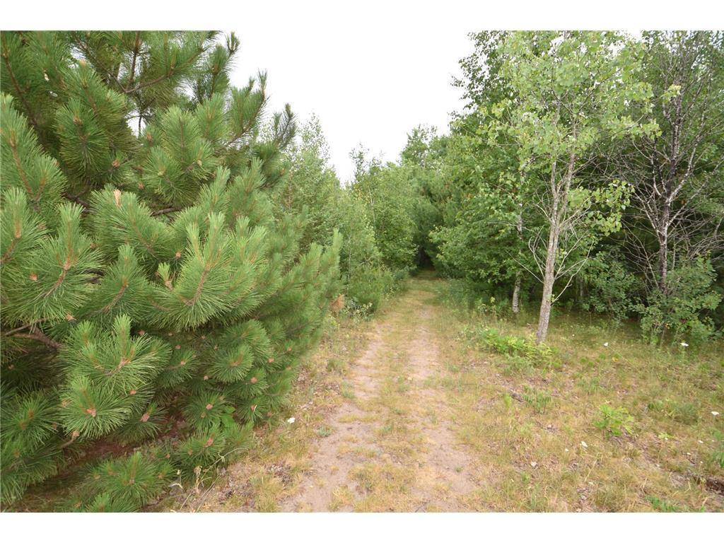 Lino Lakes, MN 55014,580 WOODDUCK TRAIL