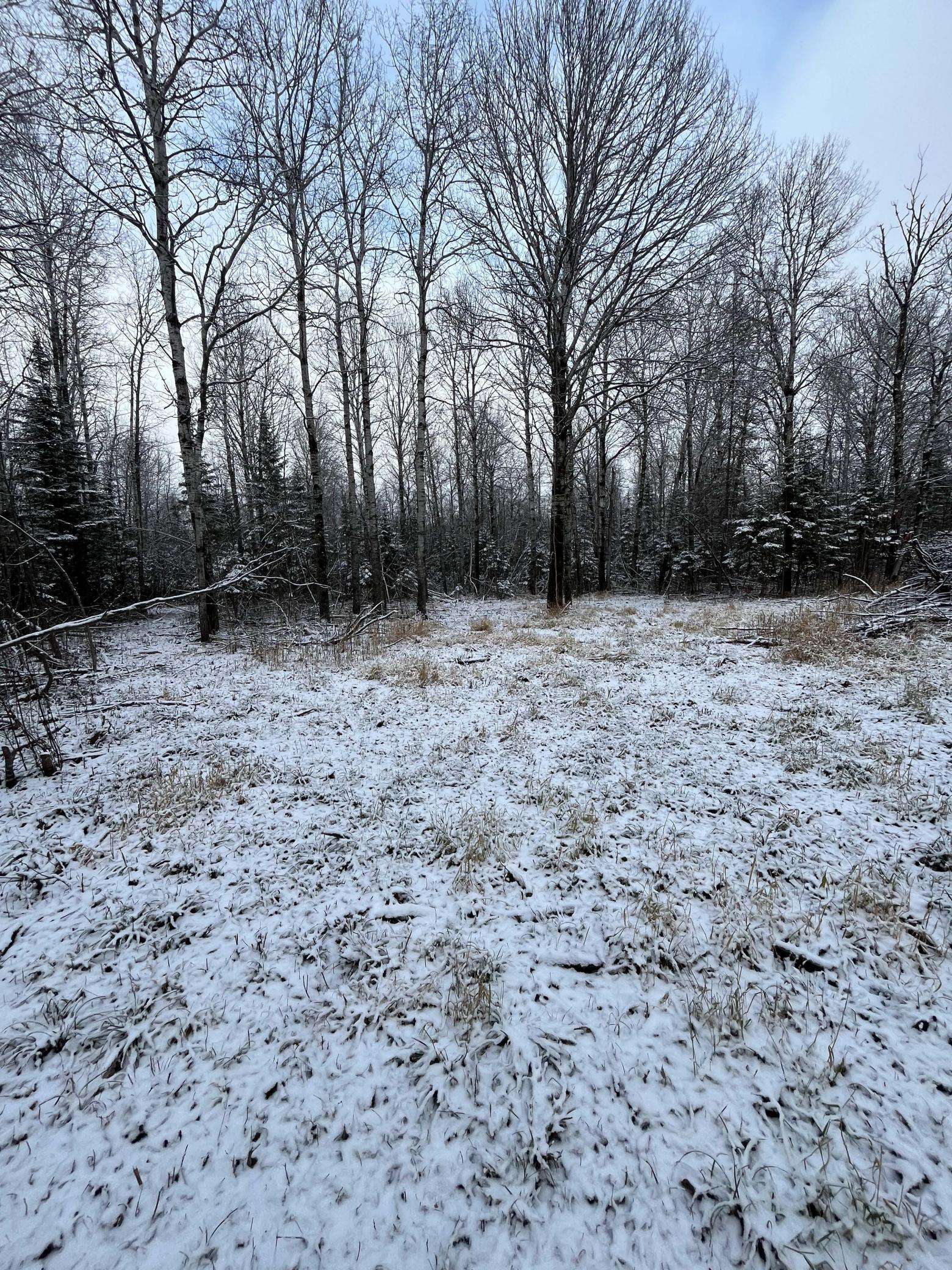 Angle Inlet, MN 56711,TBD Pinewood LN NW