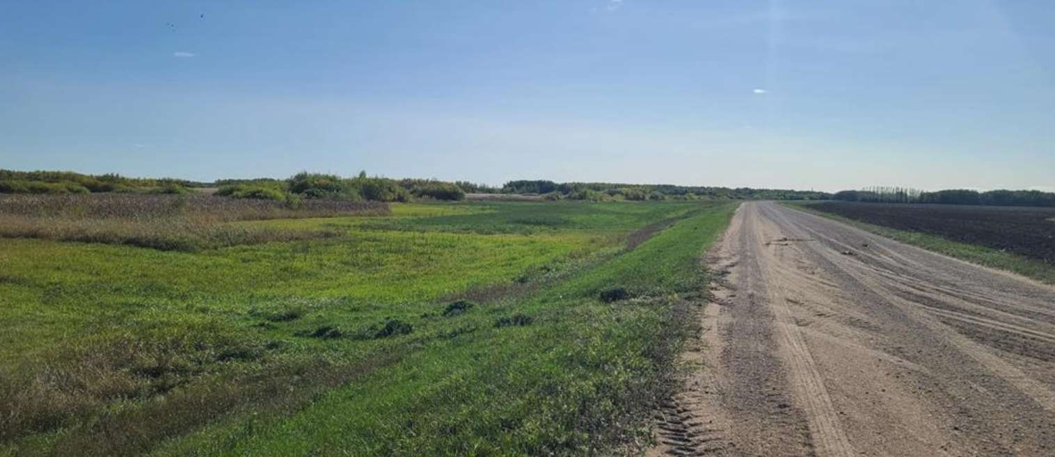 Strandquist, MN 56758,TBD Co Rd 114
