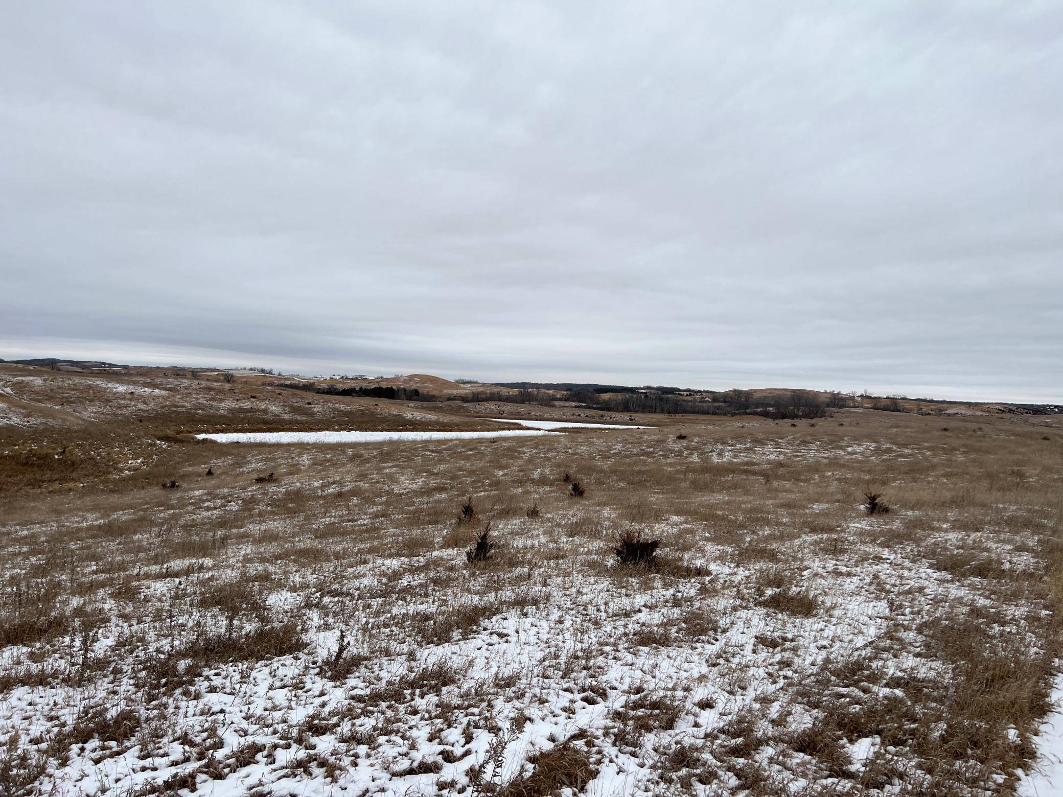 Glenwood, MN 56334,Gilchrist Township 335th Street