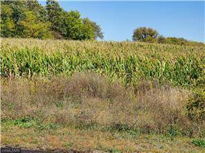 Hammond, WI 54015,1137 178th St./Dalton Farm Road, Lot 17