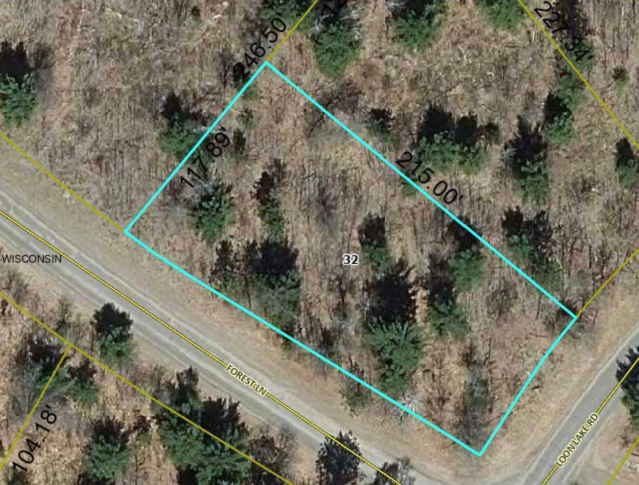 Danbury, WI 54830,Lot 17 Loon Lake RD