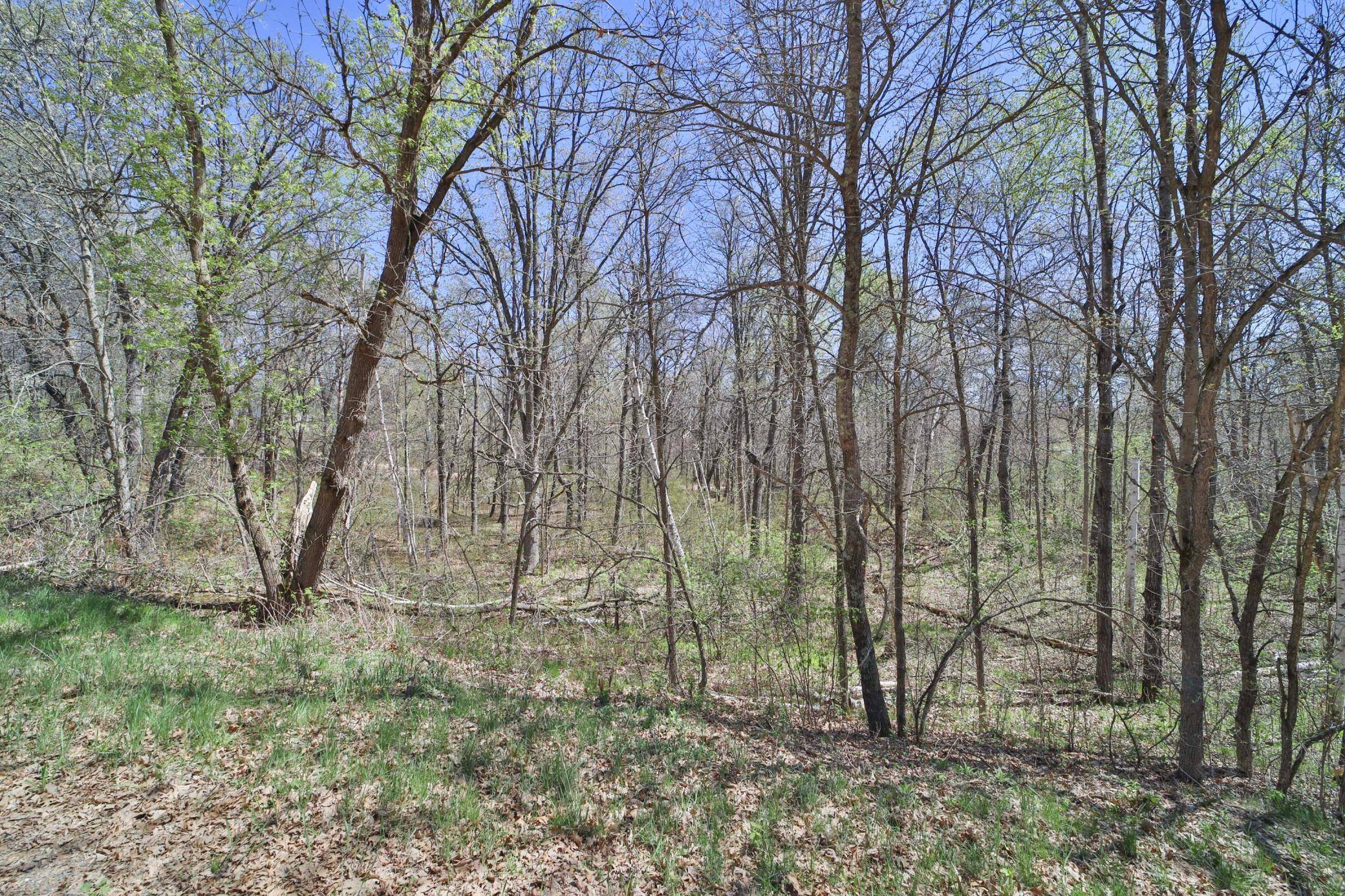 Breezy Point, MN 56472,TBD Cedar St