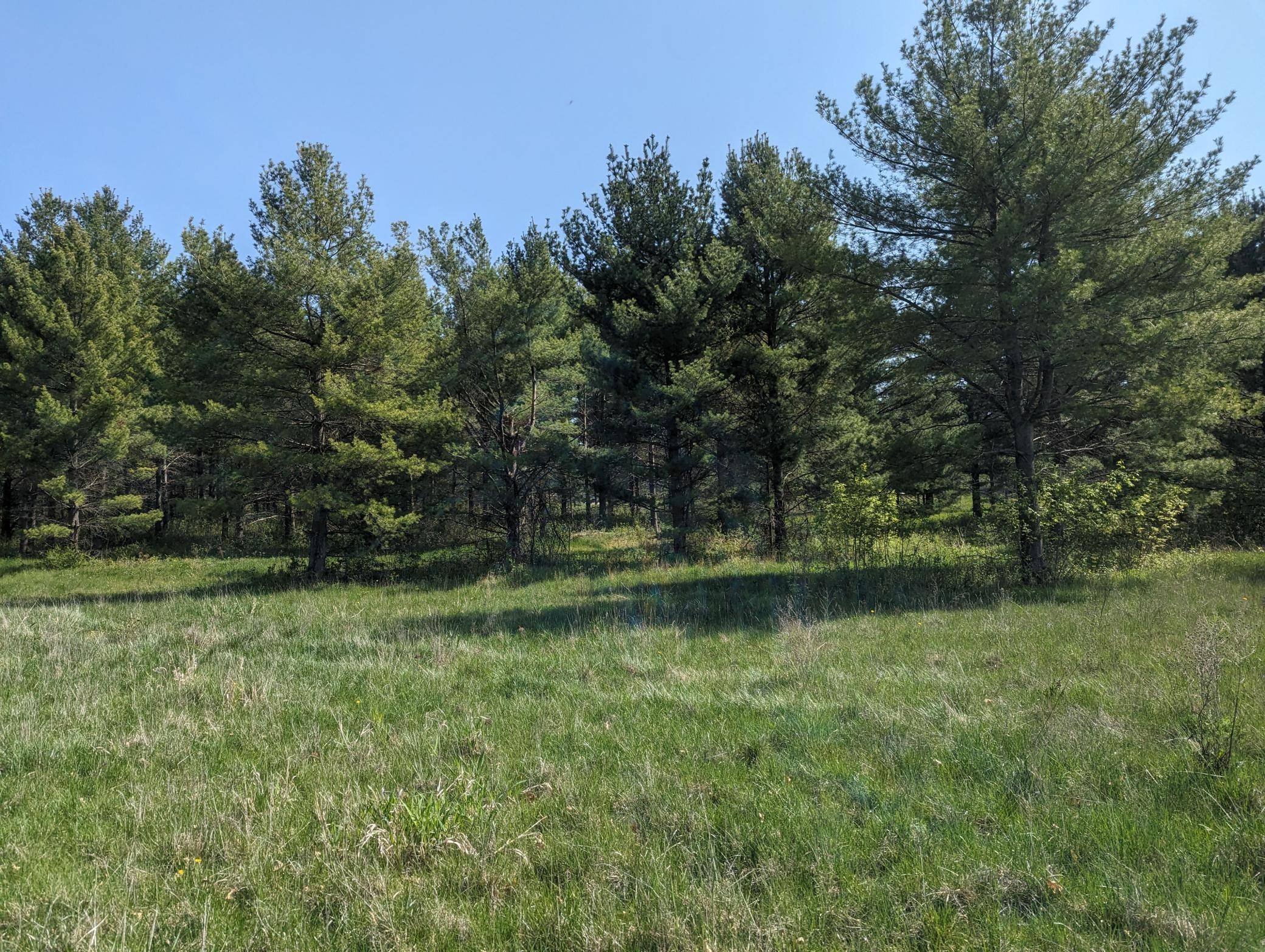 Somerset, WI 54025,1932 64th ST