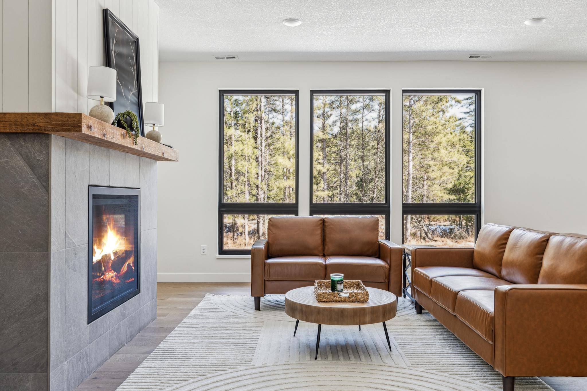 Pequot Lakes, MN 56472,30970 Firewatch WAY