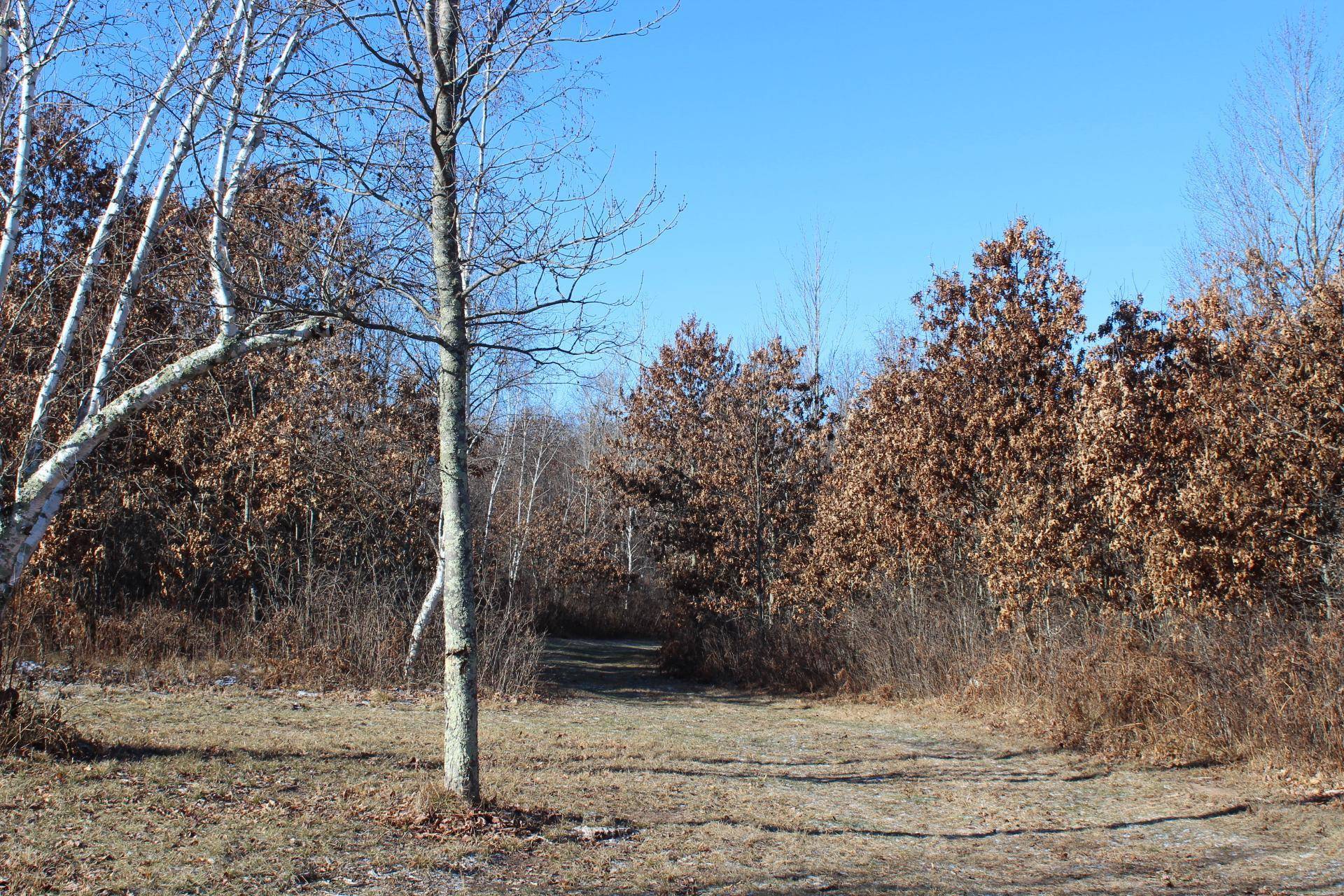 La Follette Twp, WI 54872,23980 Malone RD