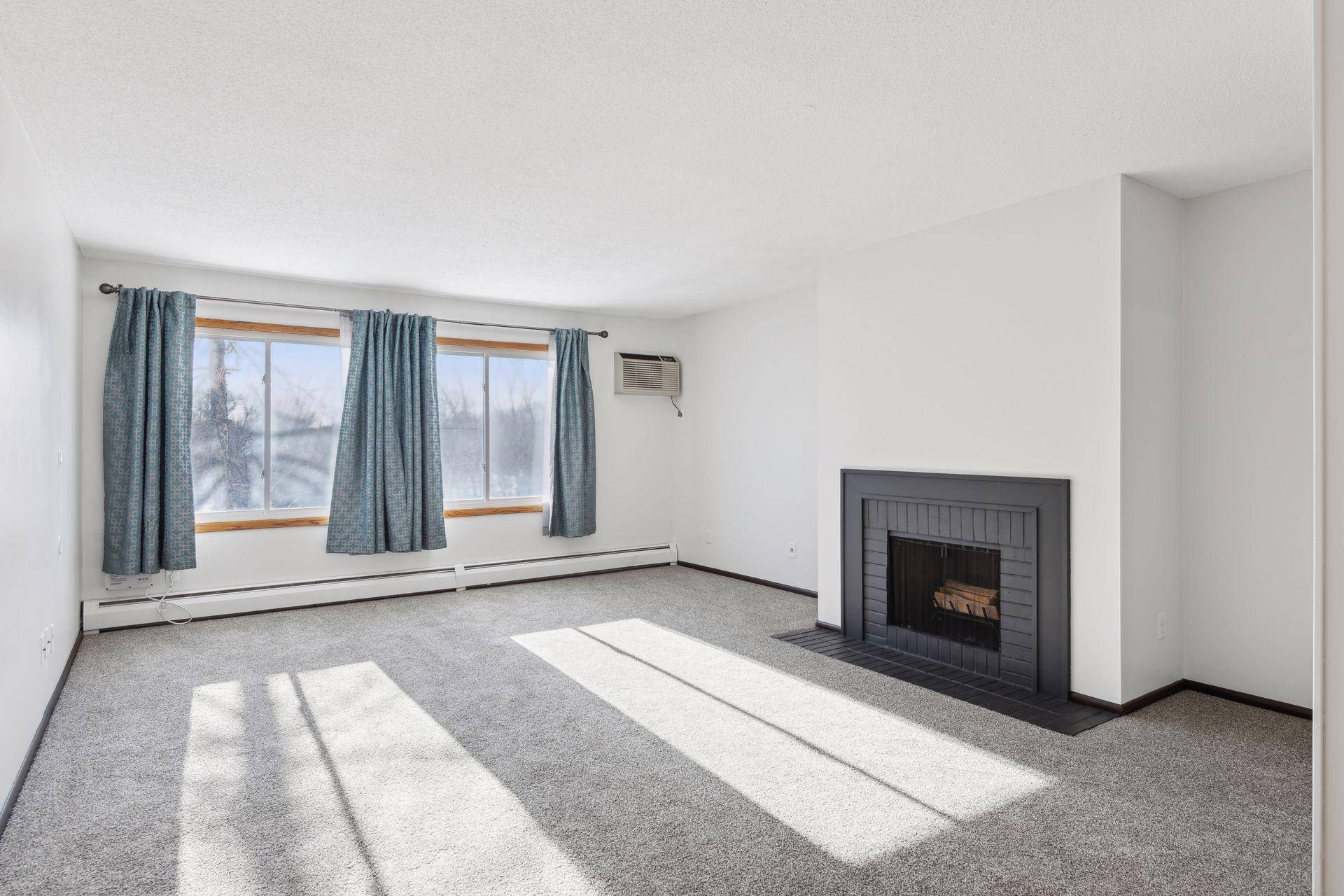 Minnetonka, MN 55305,10311 Cedar Lake RD #313