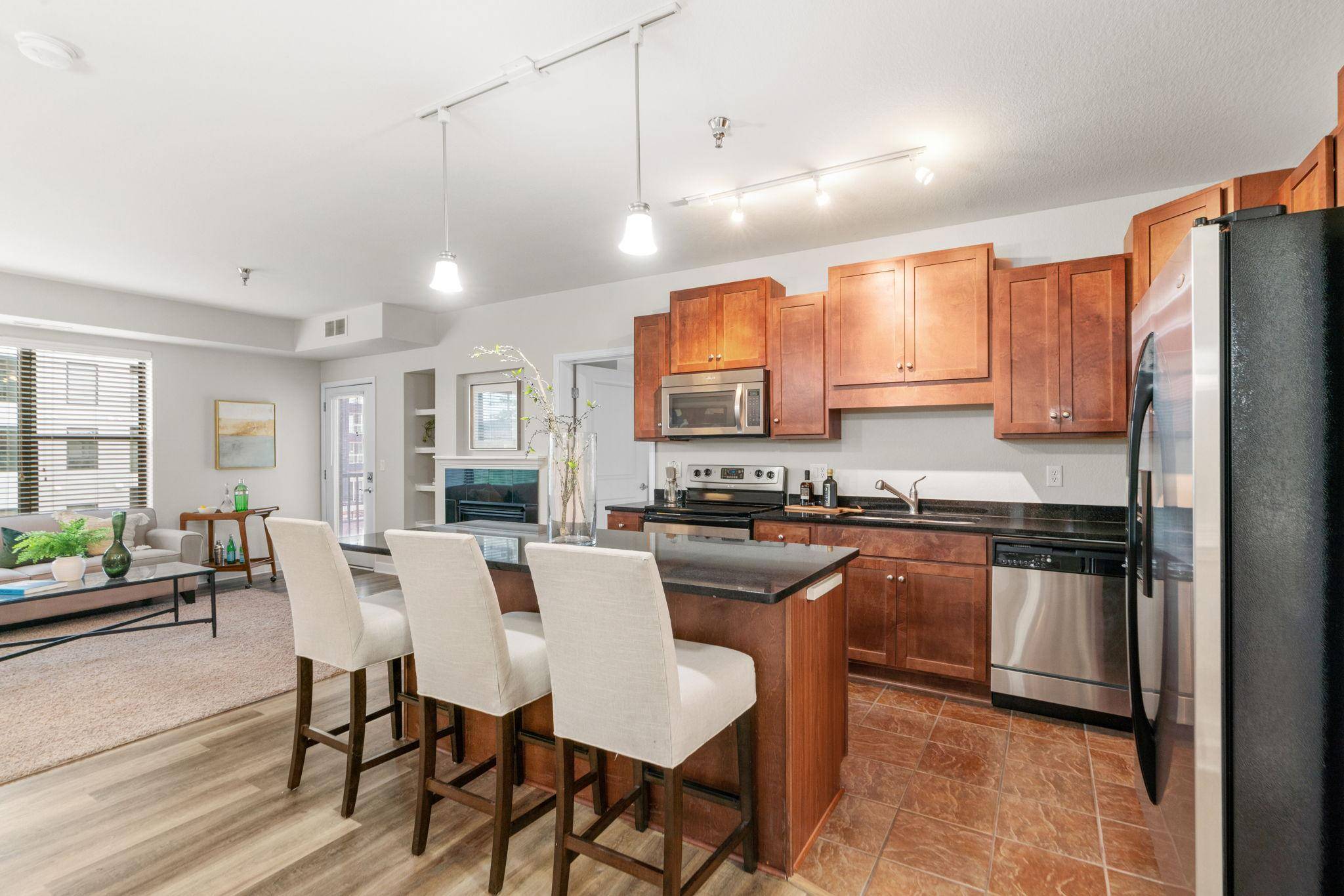 Saint Louis Park, MN 55426,1155 Ford RD #212