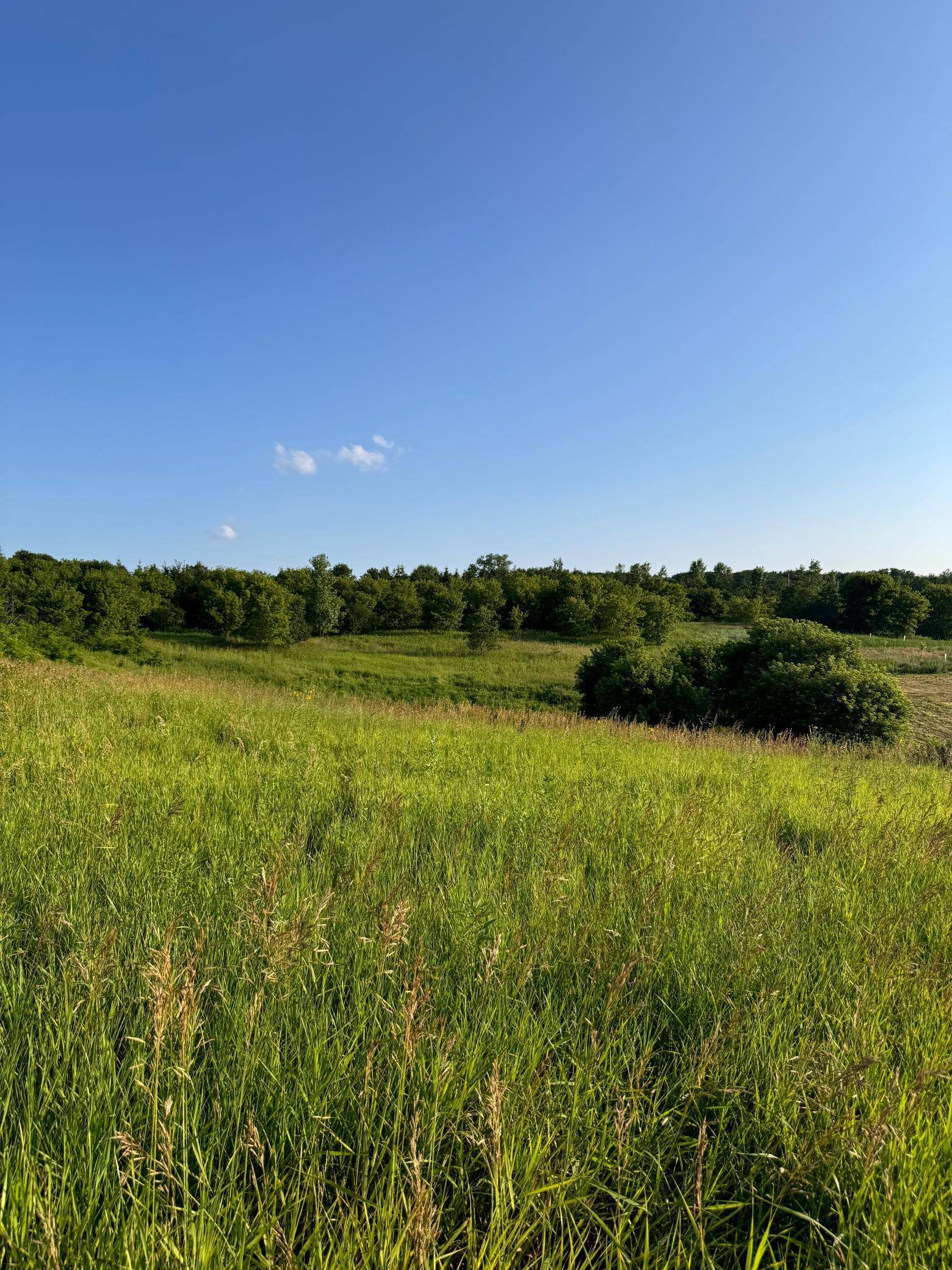 Somerset, WI 54025,XXX 162nd ST