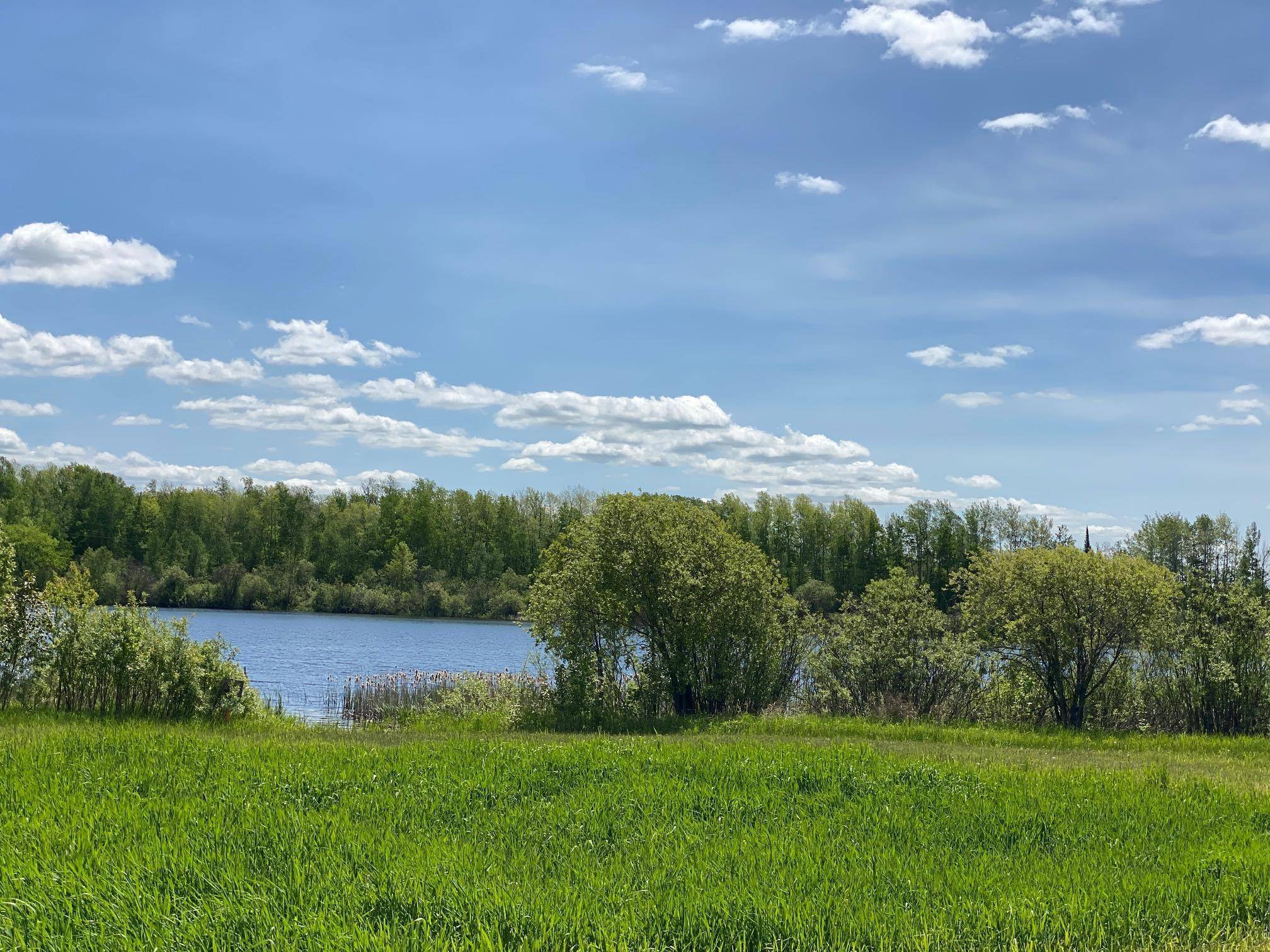 Wright, MN 55798,xxxx Woodbury DR
