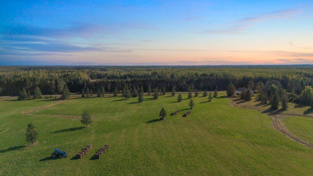 Orr, MN 55771,1661 County Road 19