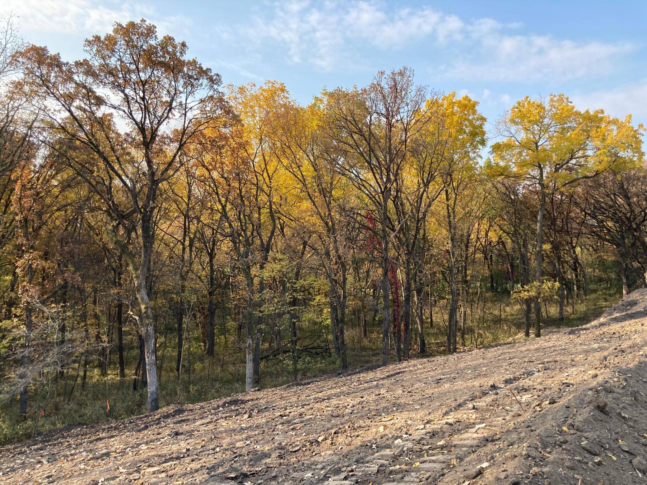 Rochester, MN 55902,2962 Glenwood RD SW