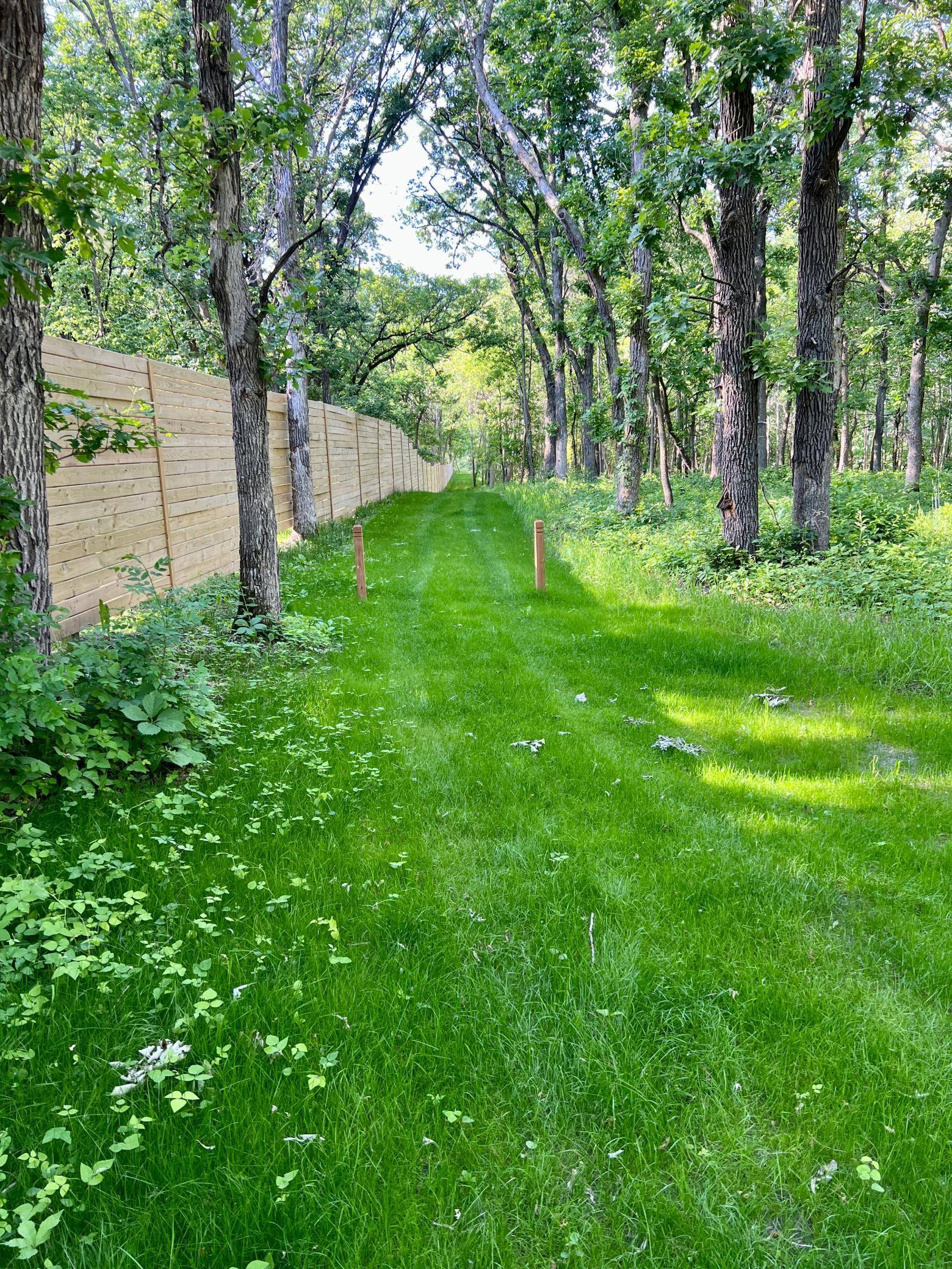 Everts Twp, MN 56515,Lot F Norwood Lane