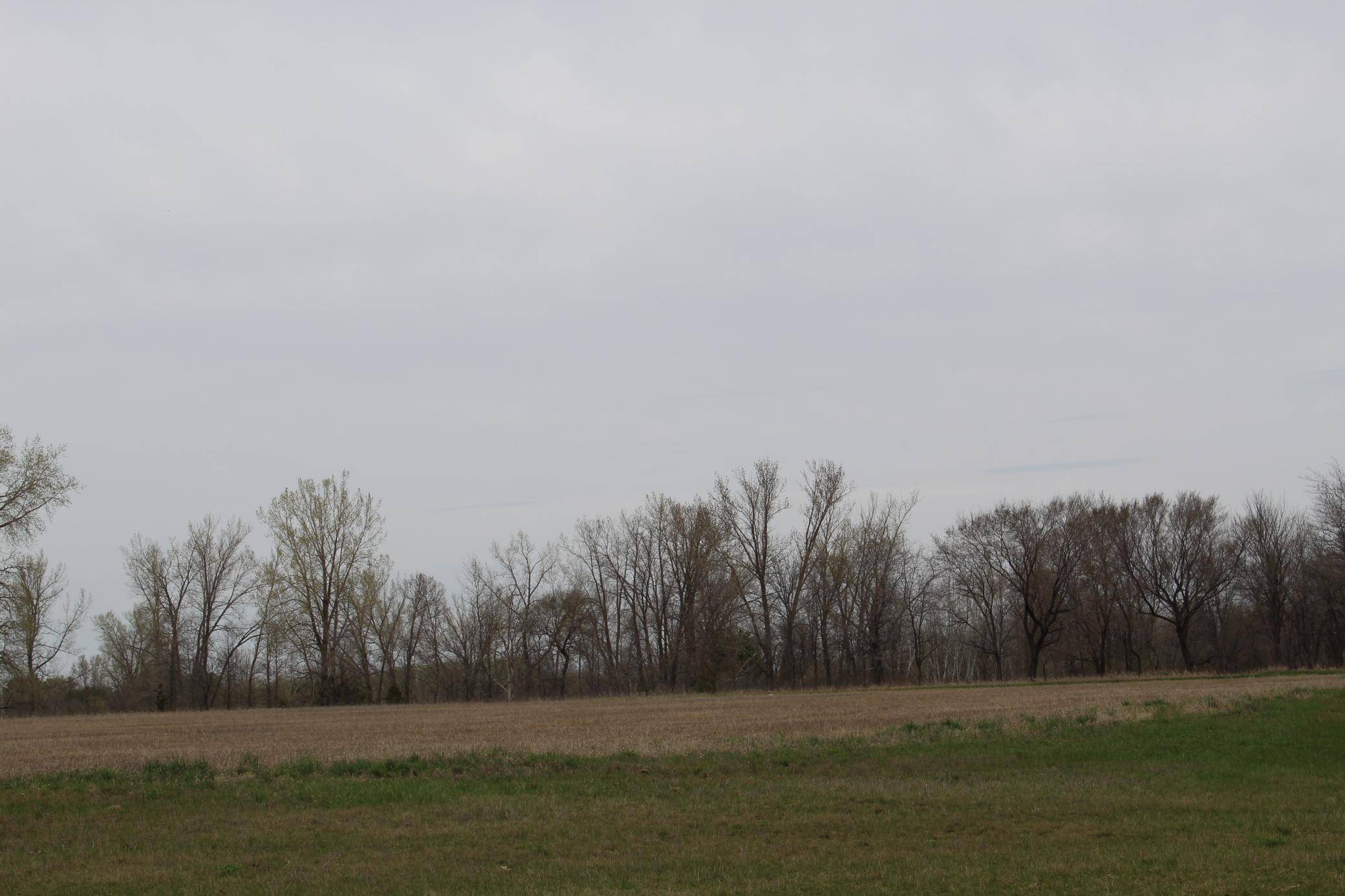 Alexandria, MN 56308,xxx S Broadway