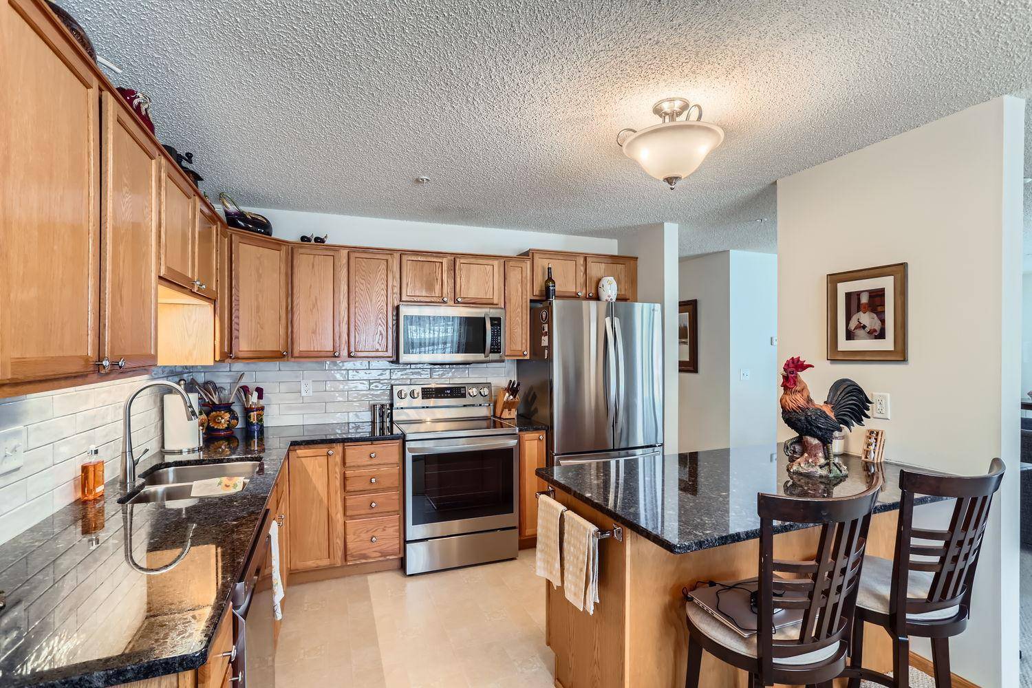 North Saint Paul, MN 55109,2231 Penn PL #201