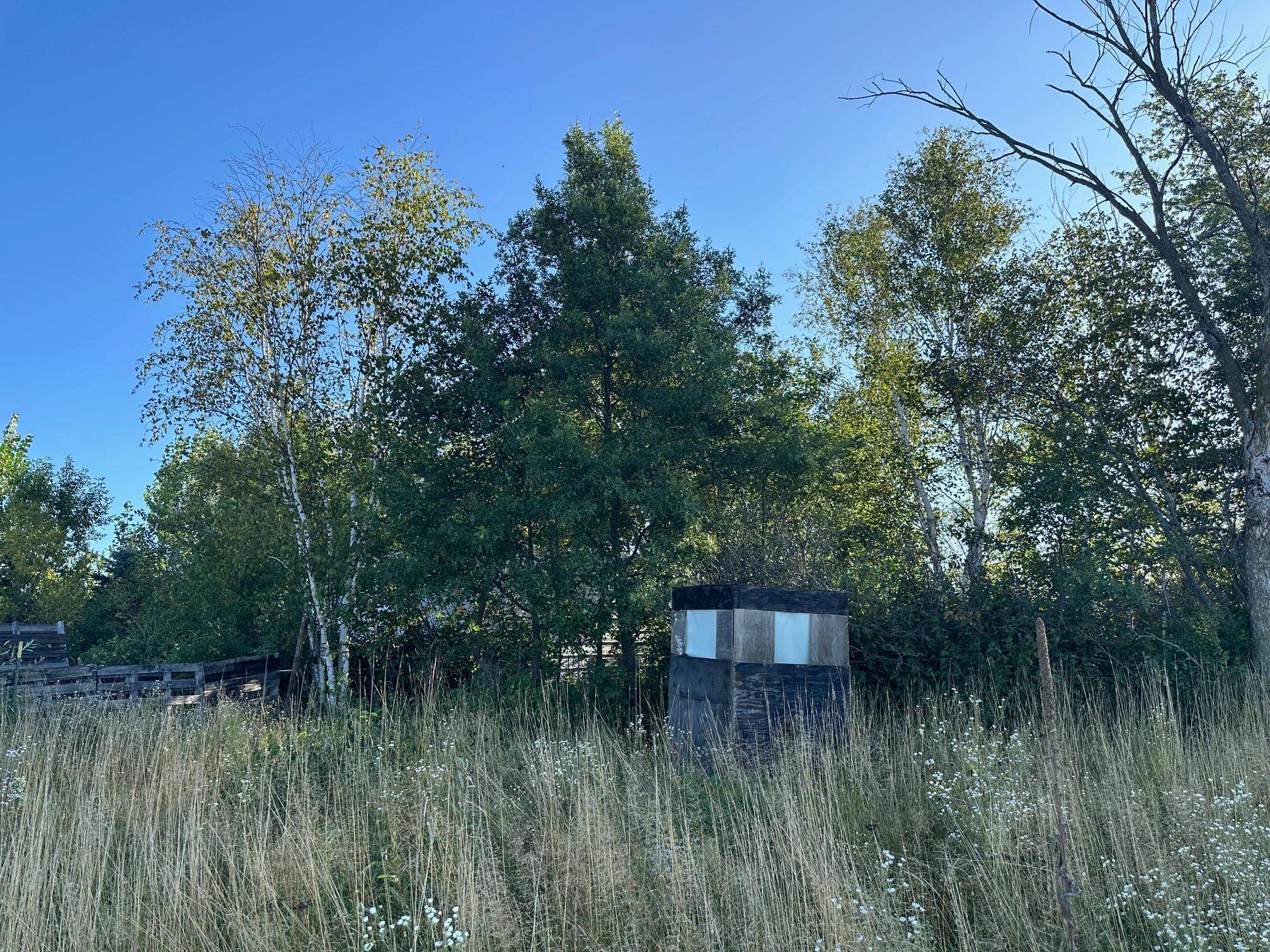 Fort Ripley, MN 56449,26555 205th AVE