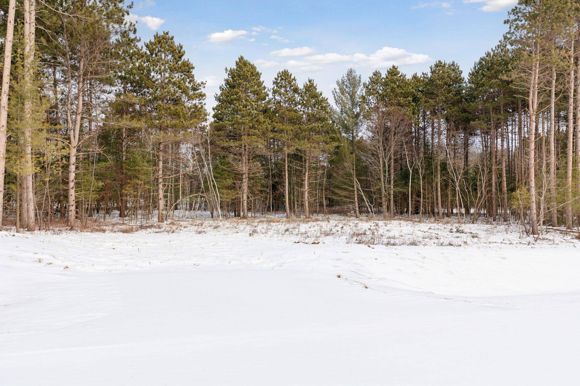 Cambridge, MN 55008,XXX (Lot 1) 317th CT NW