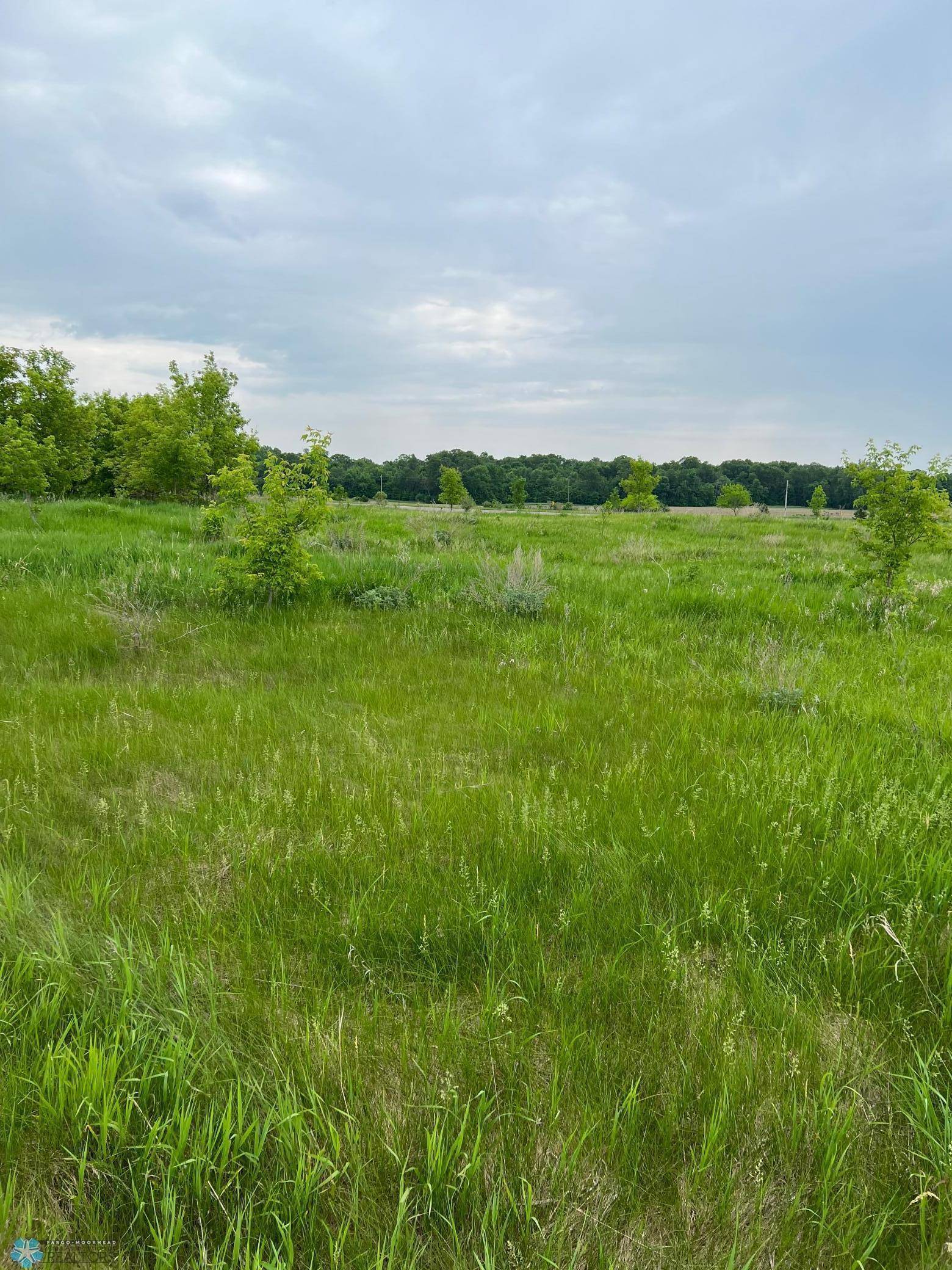 Rush Lake Twp, MN 56528,TBD TBD