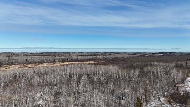 Carlton, MN 55718,TBD County Road 61