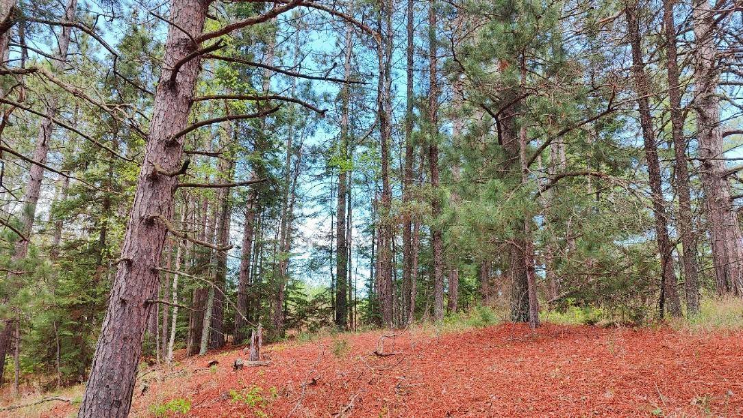 Greenwood Twp, MN 55790,80064 Osprey Pass