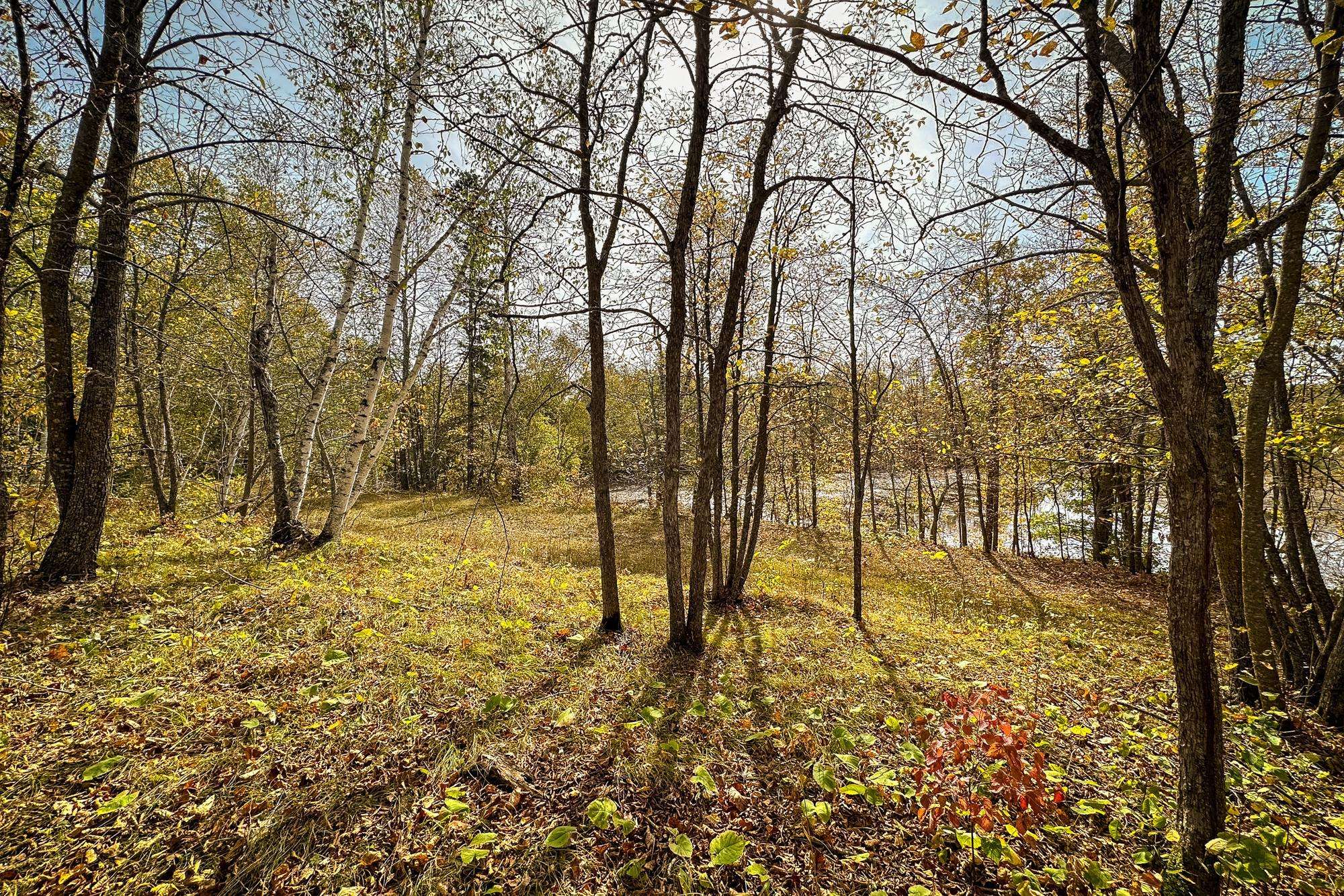 Park Rapids, MN 56470,Tract D Brietbach RD
