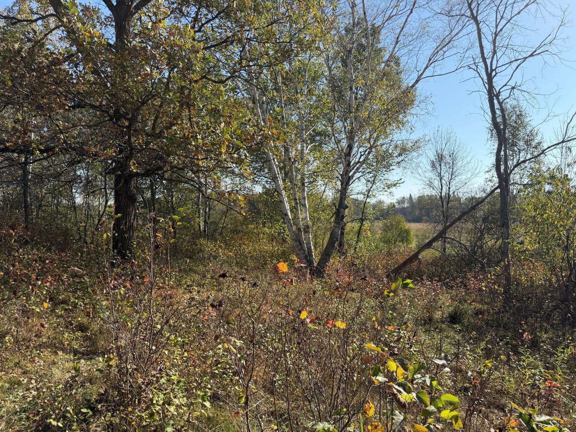 Frazee, MN 56544,TBD 139.56ac 360th AVE