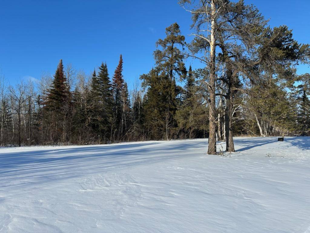 Warroad, MN 56763,TBD State Highway 11