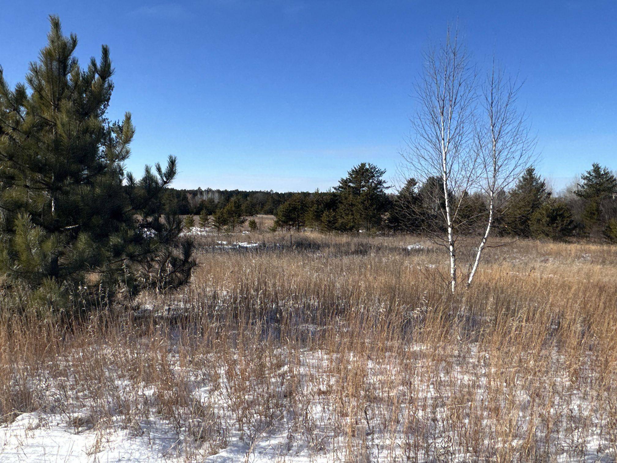 Trego, WI 54888,Lot 4 - XXXX Barrett RD